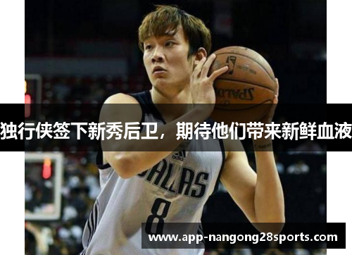 独行侠签下新秀后卫，期待他们带来新鲜血液